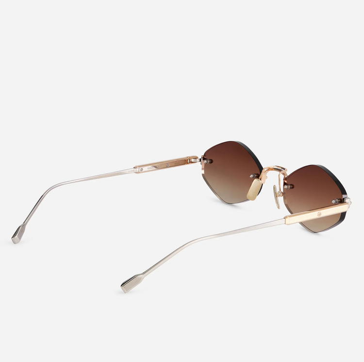 TEREBELLUM V | S1204