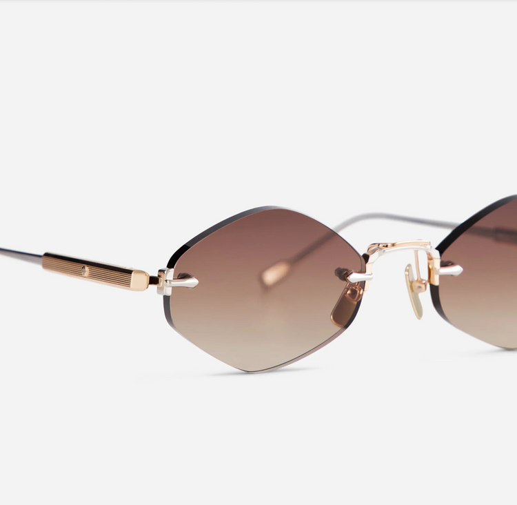 TEREBELLUM V | S1204