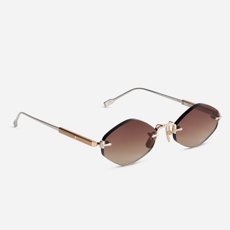 TEREBELLUM V | S1204