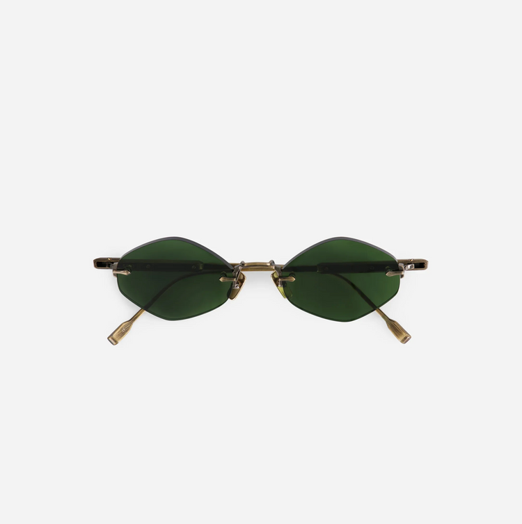 TEREBELLUM V | S1209